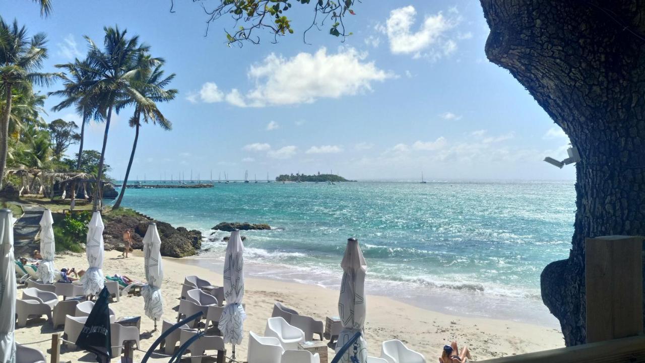 Grand Studio Les Pieds Dans L'Eau, Centre Ville Le Gosier  Esterno foto